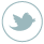 follow us on twitter